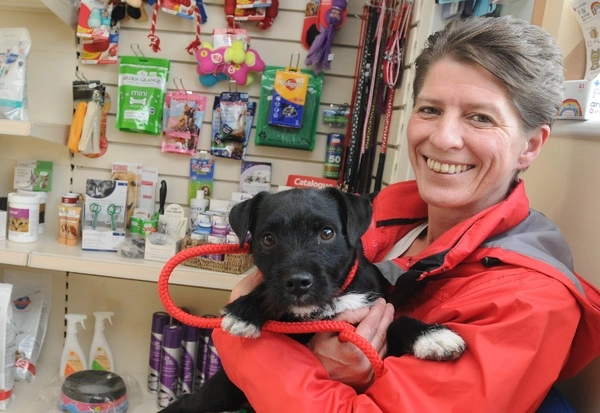 Vets In Marlborough Drove Vets Swindon